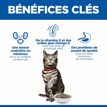 Feline Urinary Health