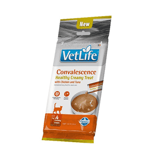 Feline Adult Convalescence Cream mit Huhn und Thunfisch