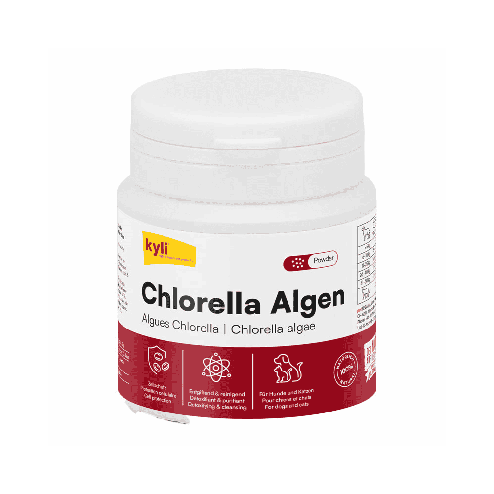 Algues chlorelles