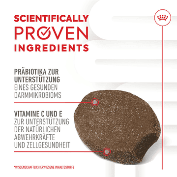 Immunity &amp; Digestion Chews Puppy Supplements