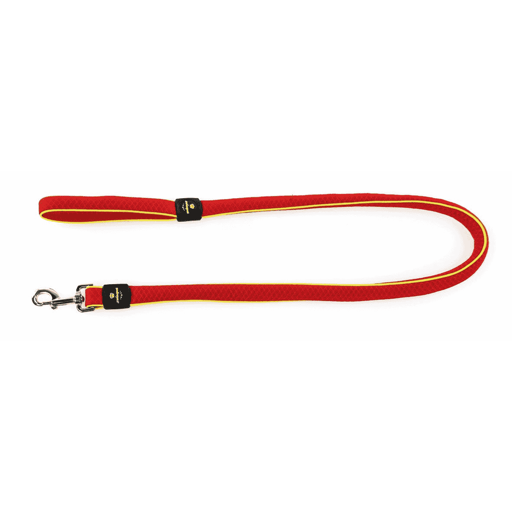 Active Dog city leash