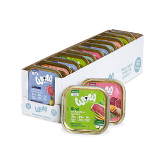Adult, Multipack