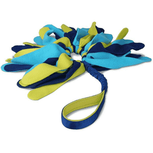 Tuggi Spider