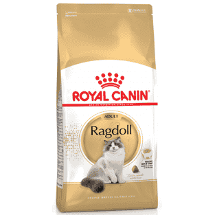 Ragdoll