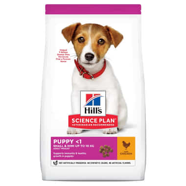 Puppy Small & Mini Breed