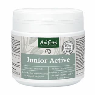 Junior Active