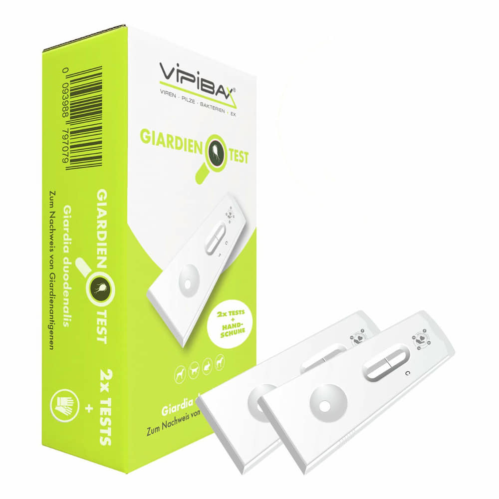Giardia rapid test