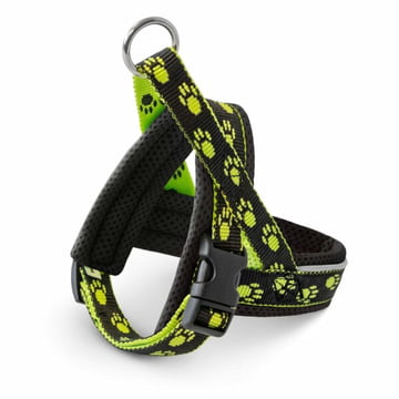 Nordic Basic Mini M1 harness