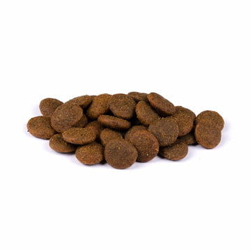 Dog Adult True Fresh - Frisches Rind