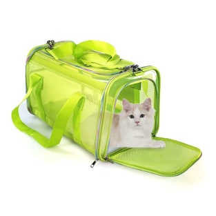 Transportbox & -tasche Nitro