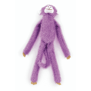 Color Monkey