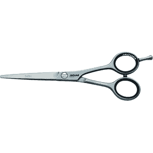 Satin Silver Ice White Line scissors
