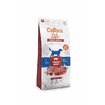 Life Senior Medium Fresh Beef