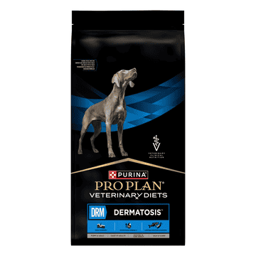 CANINE DRM Dermatosis