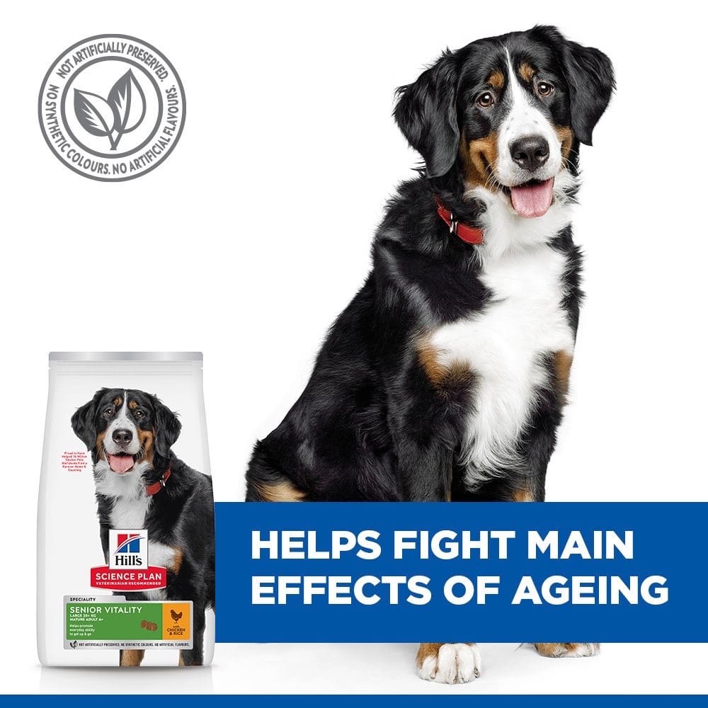 Canine Senior Vitality 6+ Large Breed