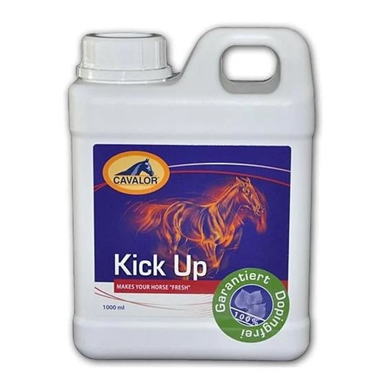 Kick Up