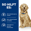Canine j/d Reduced Calorie Mobility
