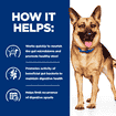 Canine Gastrointestinal Biome - Can