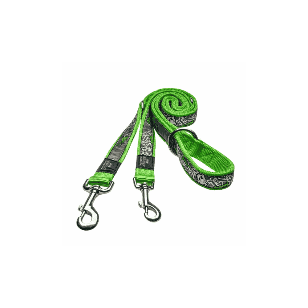 Laisse pour chien Fancy Dress XL