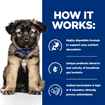 Puppy i/d Digestive Care Chicken