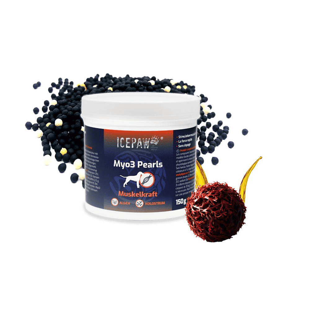 Myo3 Pearls
