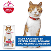 Feline Sterilised Cat Chicken
