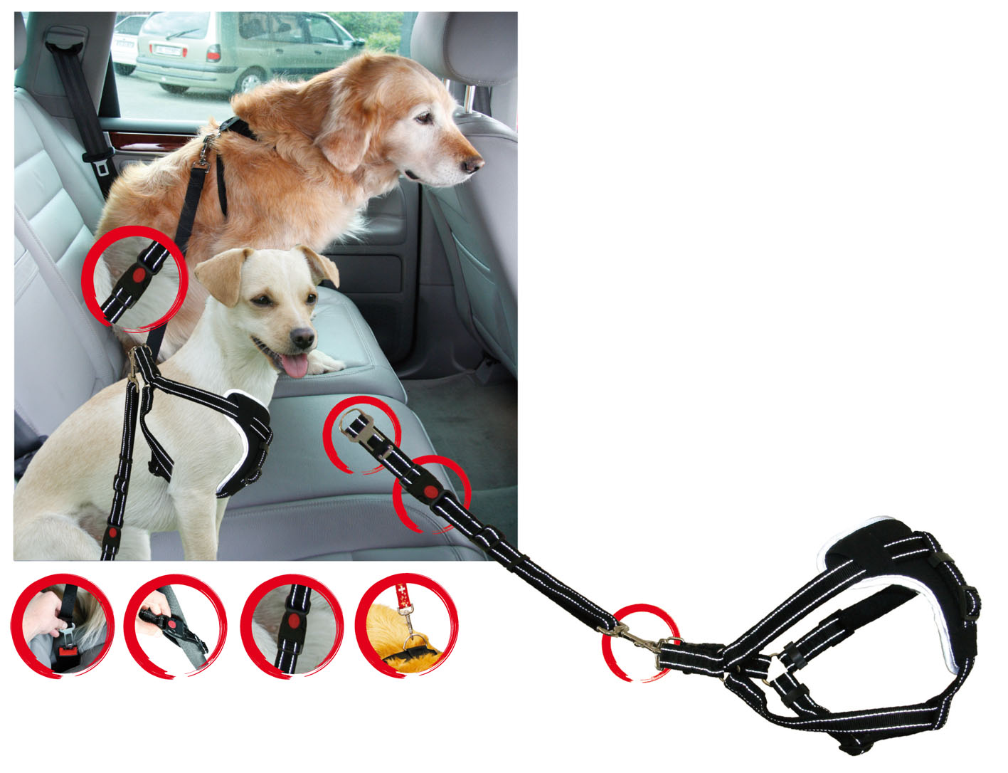 Sicherheitsgeschirr DogSafe für Hunde