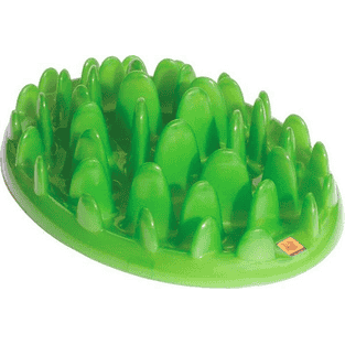 Green Slow Dog Feeder
