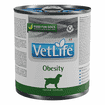 Canine Obesity - Boîte