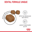 Oral  Care