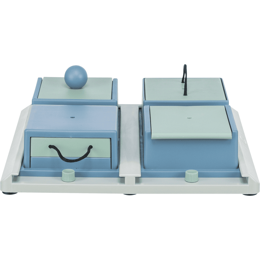 Dog Activity Poker Box 1
