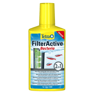 FilterActive