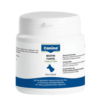Biotin Forte Tabletten