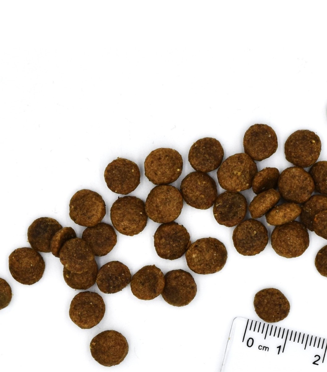 Grain Free Large Breed All Life Stage Buffalo
