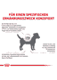 Anallergenic Small Dogs