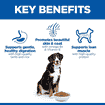 Canine Adult Large Breed Lamb & Rice 12 + 2 kg Bonus Bag