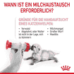 Babycat Milk