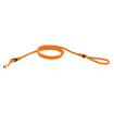 City leash Bungee
