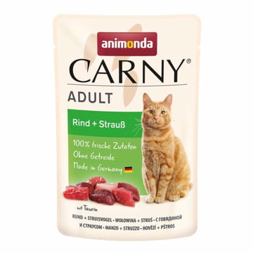 Carny Adult Cat