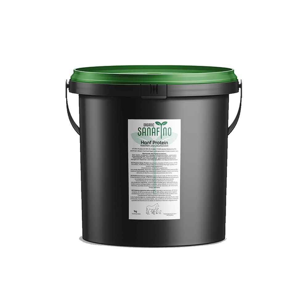 Organic Hanf Protein