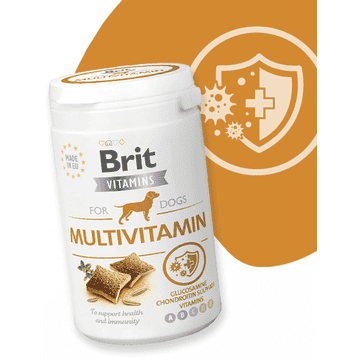 Vitamins Dog Multivitamins