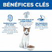 Feline Senior 11+