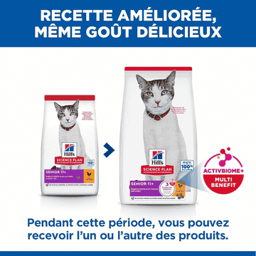Feline Senior 11+