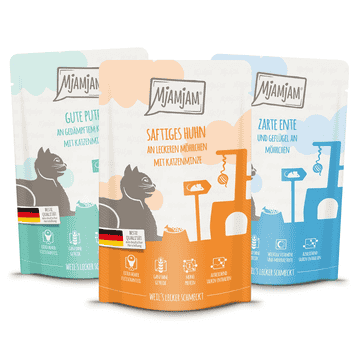 Probierpaket 4