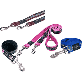 Laisse pour chien Fancy Dress M