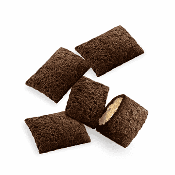 Crunchy Snack au saumon