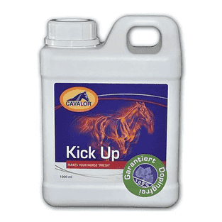 Kick Up