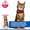 Feline Light Adult Chicken