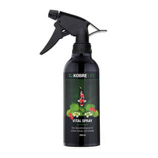 Vital Spray
