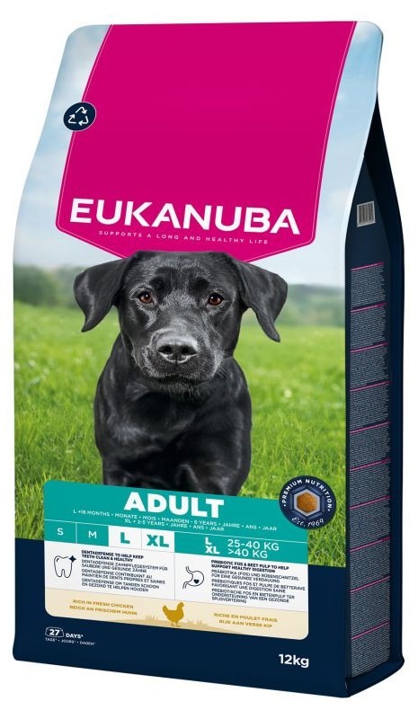 Active Adult Large & Giant Breed